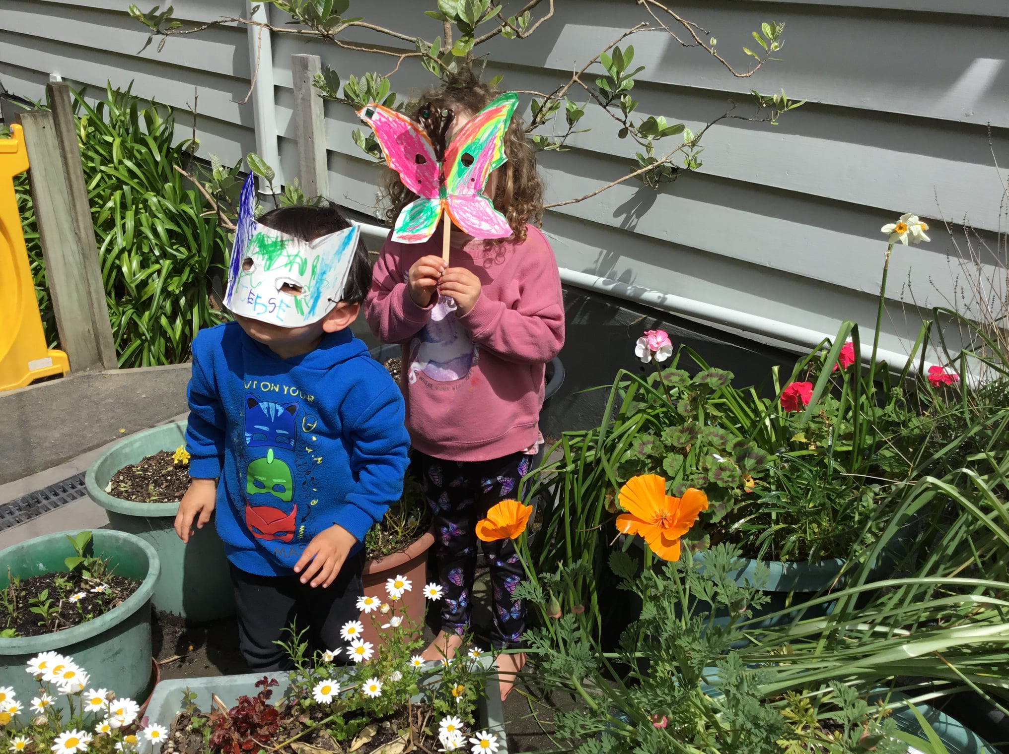 WM kindergartens | Ngā kitenga whare kōhungahunga | Find a Kindergarten